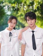 青柠影院电视剧免费播放视频