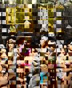 电影《鸭王3》在线观看粤语