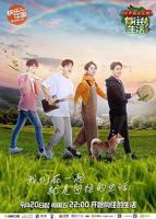 《向往的生活 第二季》完整版免费在线观看_高清全集