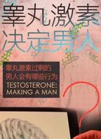 睾丸