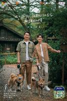 《向往的生活第七季》高清综艺完整版-全集大陆综艺在线观看-