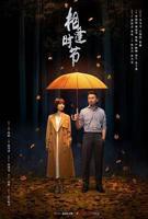 相逢时节电视剧免费观看