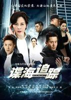 《谍海追踪》电视剧第01集高清云播国语高清免费完整版