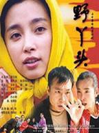 大叔和小丫头的爱情电视剧美剧