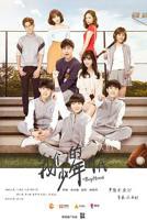 《我们的少年时代》全集完整版在线观看-电视剧-