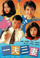 三妻四妾国语版电视剧全集