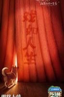 《向往的生活第八季》全集在线观看_