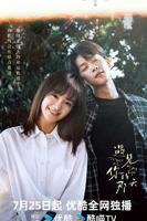 《遇见你的那天》电视剧全集在线观看_免费播放