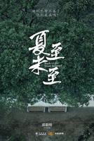 夏至未至电视剧免费观看完整版