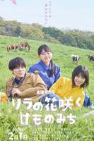 丁香花高清电视剧观看