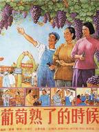 葡萄熟了5在线观看免费高清电视剧